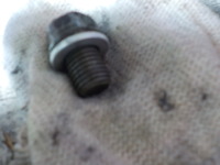 DSCN6117