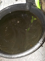 DSCN4075