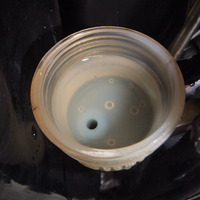 DSCF2954