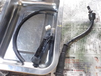 DSCN3169