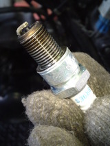 z-rz50-ra01j20120316ws (1)