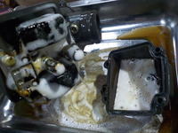 DSCN7591