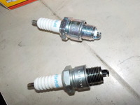 DSCN8155