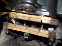 DSCN5941