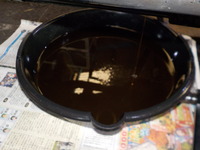 DSCN5768