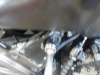 DSCN5482