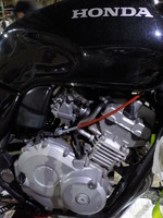 DSCN5955
