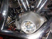 DSCN7557