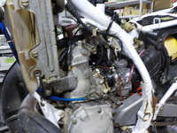 DSCN7662