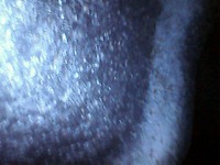 usbcamera20220113210147