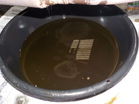 DSCN4942