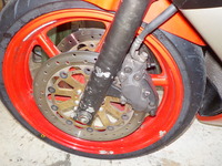 DSCN6556