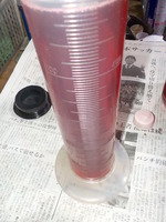 DSCN1516