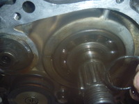 P1110077
