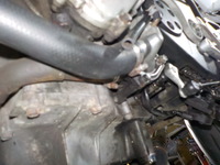 DSCN3552