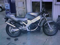 SINNK029