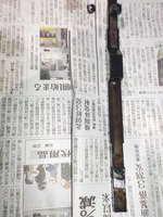 DSCN3677