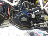 DSCN5724