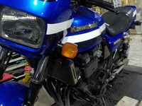 DSCN3981