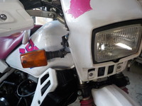 DSCN2491