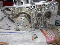 DSCN3151