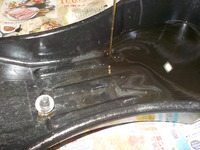 DSCN7550