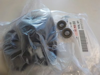 DSCN6556