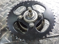 DSCN3752