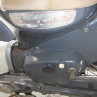 DSCF9955