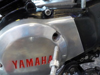 DSCN1955