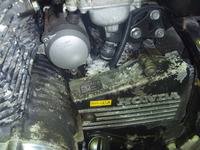 P1010386