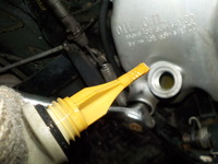 DSCN4169