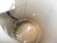 DSCN5736