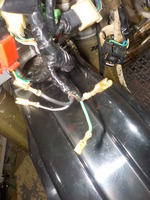 DSCN3677