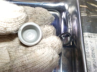DSCN4501