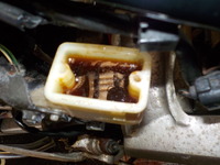 DSCN7959