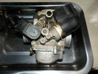 DSCN5194