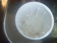 P1110155