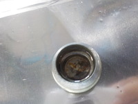 DSCN1529