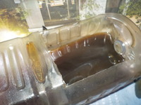 DSCN5299