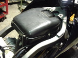 xelvis20111207ws (5)
