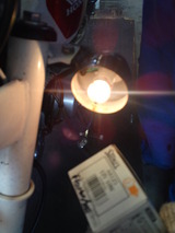 monky-china20120526 (21)