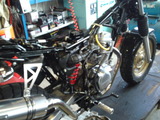 ape100ws20111009 (2)