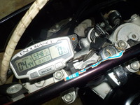 DSCN6131