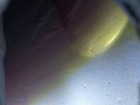 DSCN7156