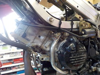 DSCN5186