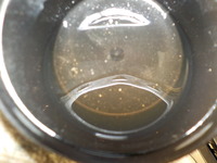 DSCN9145