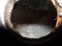 DSCN6632