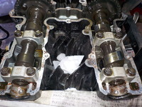 DSCN9631