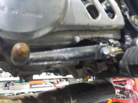 DSCN0251
